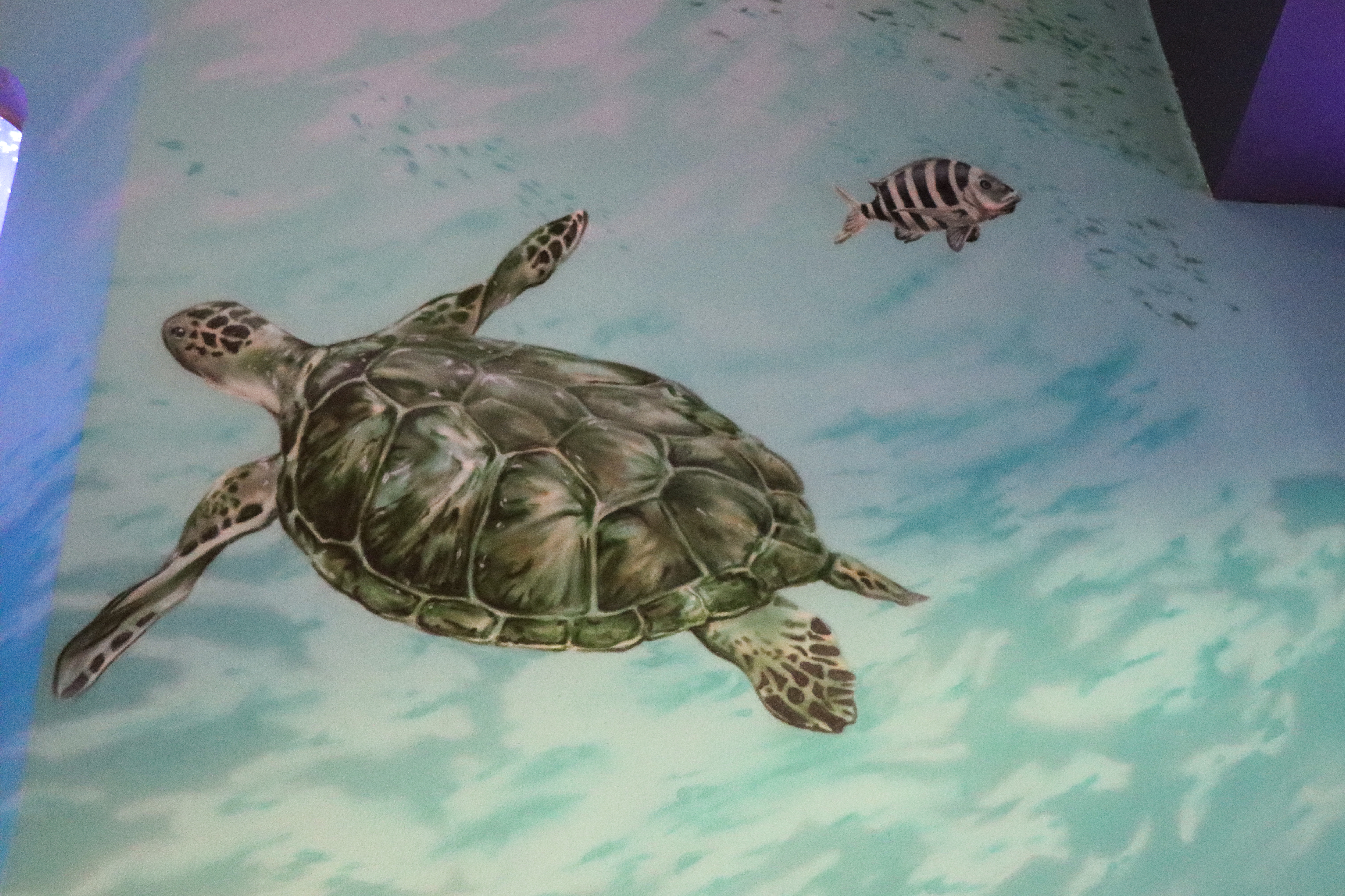 sea turtle mural