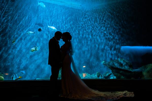 Couple in front of aquarium tank